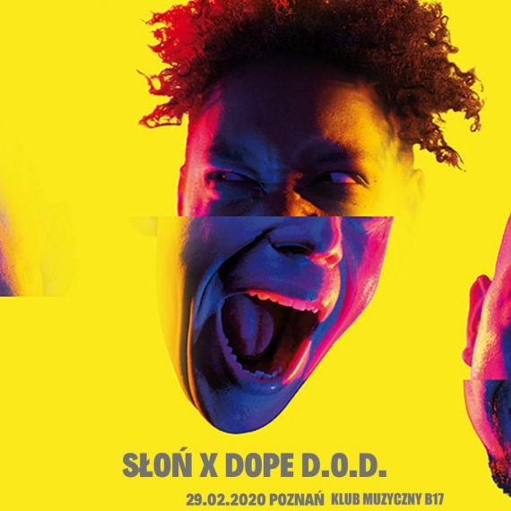 image-alternative