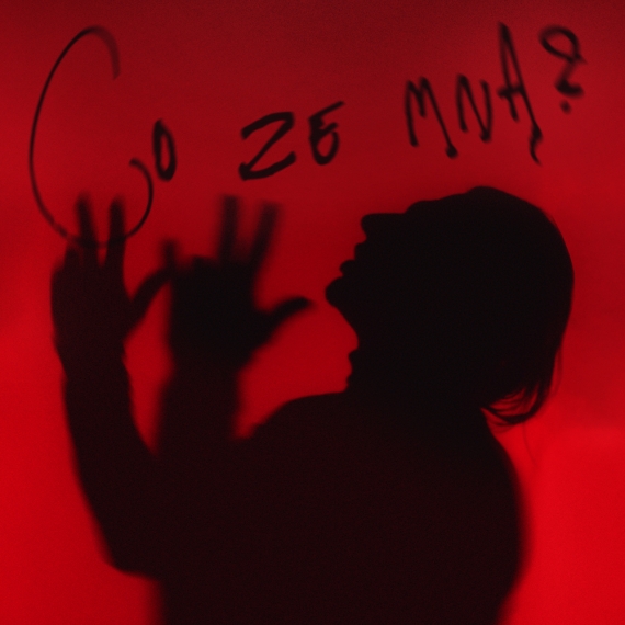 image-alternative