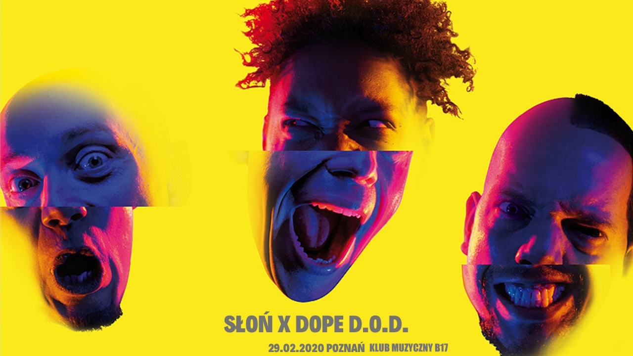 image-alternative